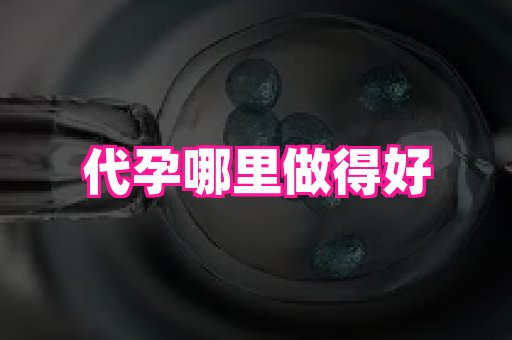 北京助孕网 4